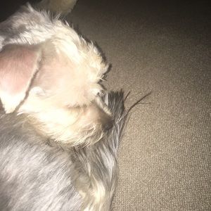 Meet your Posher, Sabrina